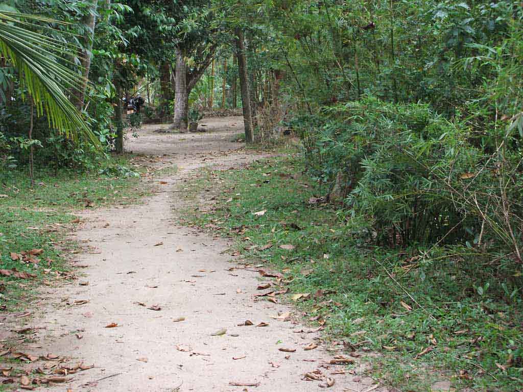 Gampaha Land for sale